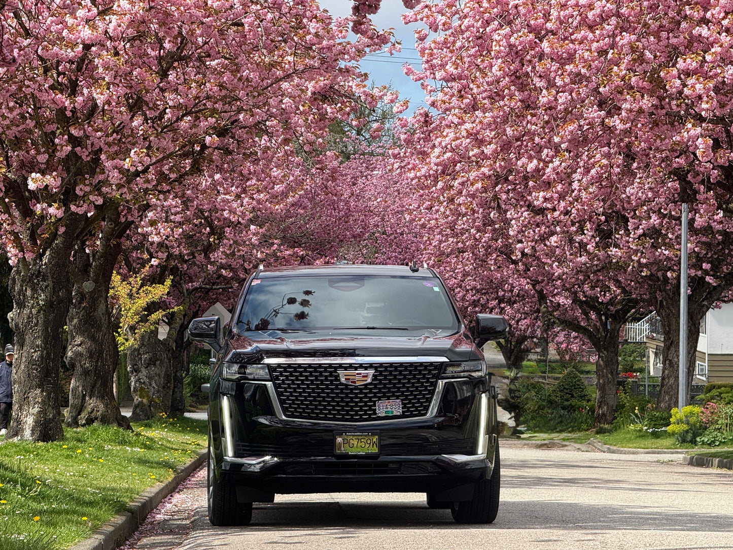 Hire our Sprinter Van/Luxury SUV with a professional driver